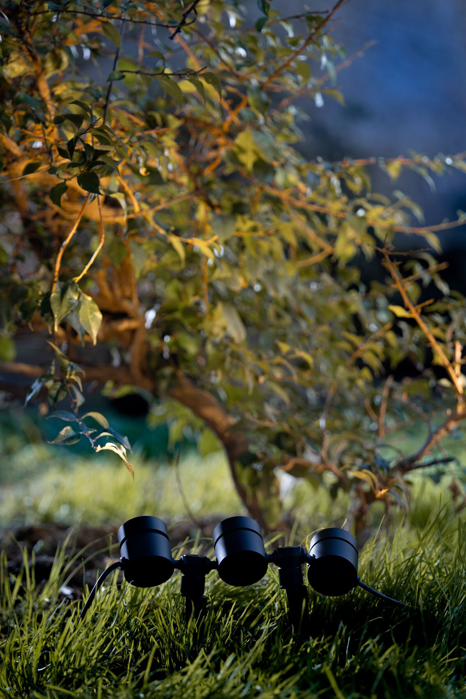 Регулируемый светодиодный наружный прожектор TARGETTI CATIRPEL ARCH-00029740 - Вид №6