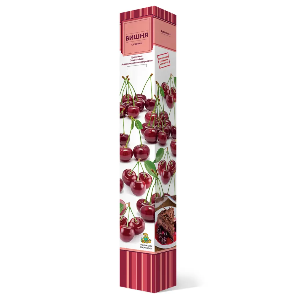 Вишня игрицкая h64 см 83787970 STLM-2034762 Santreyd 