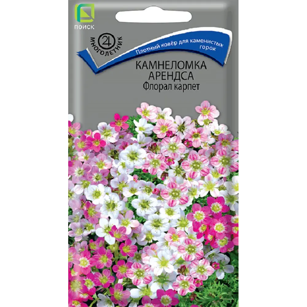 Семена цветов камнеломка Арендса Флорал Карпет 89444916 STLM-2026699 Santreyd 