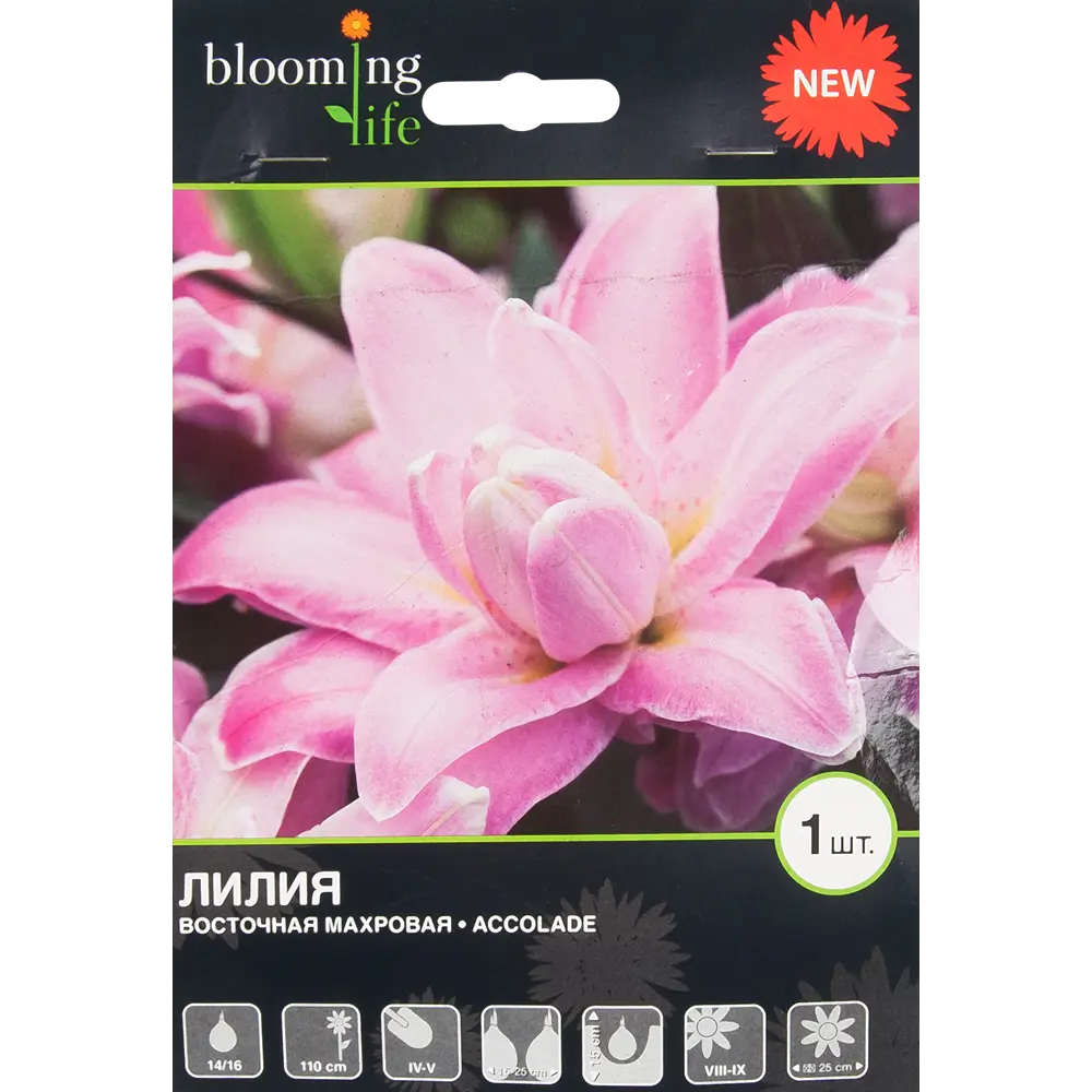 Лилия Акколад 14/16, 1 шт 82539388 STLM-2202348 BLOOMING LIFE 