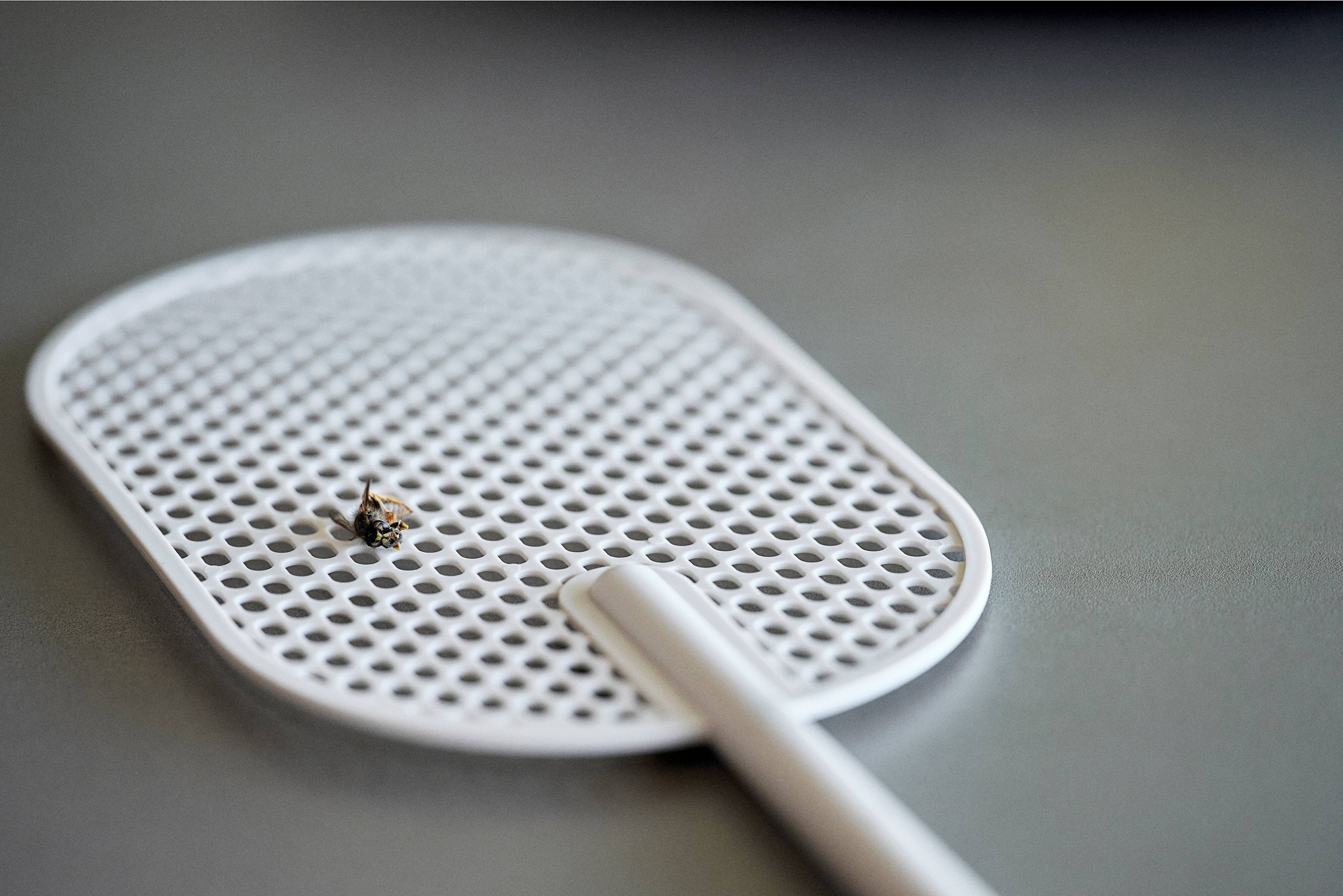 24382 мухобойка Zone Denmark Singles - Вид №1