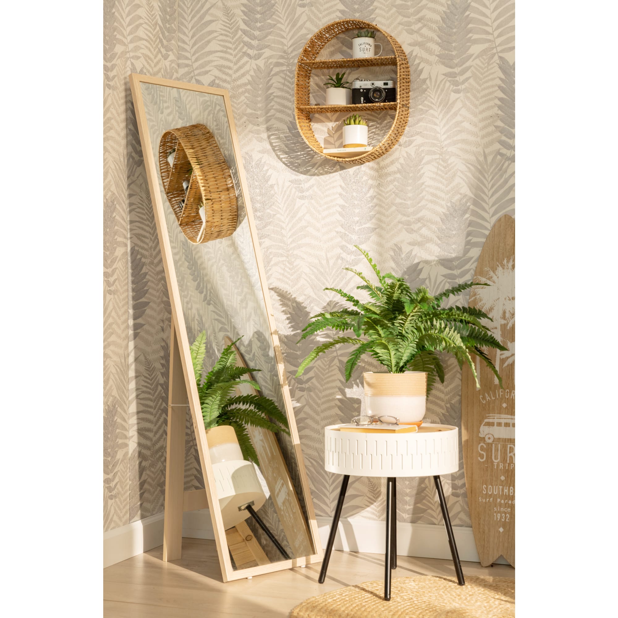 13534108 Нефролепис Грин Леди 12х37 см Santreyd  - Вид №4