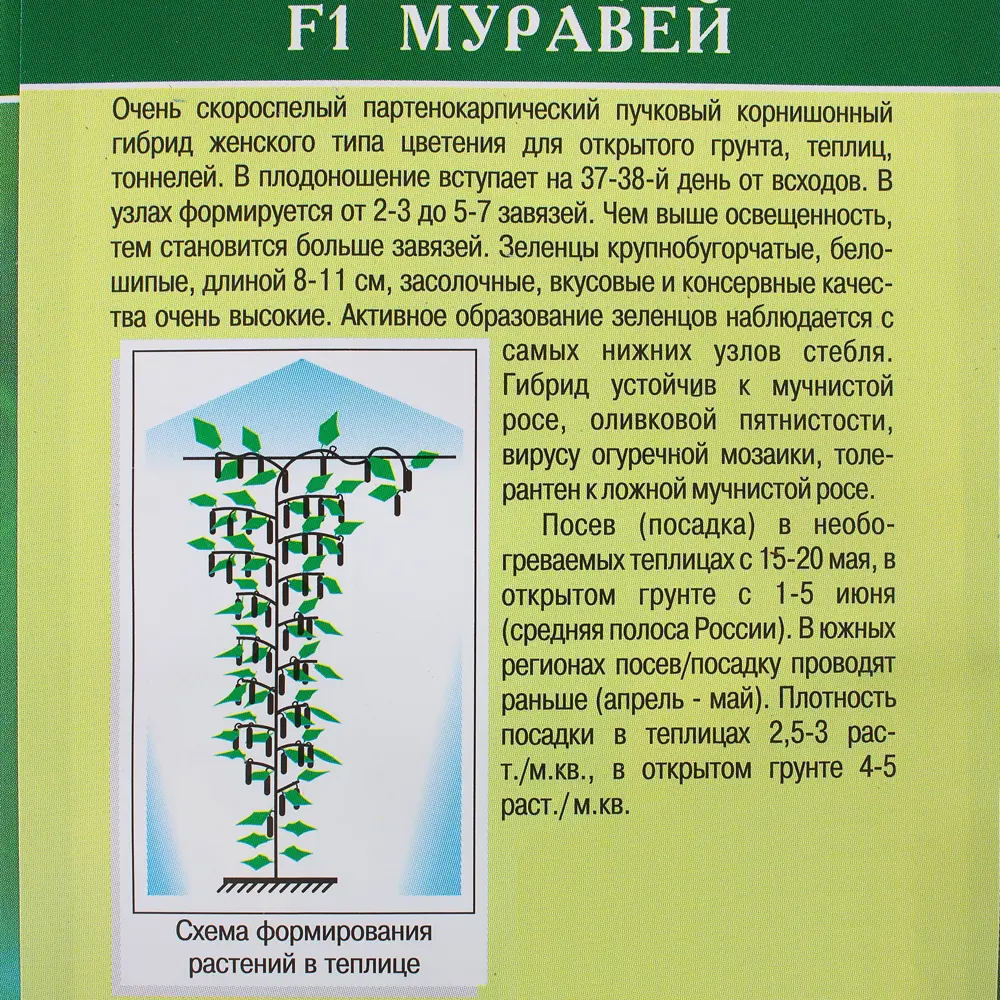 Семена Огурец «Муравей» F1 81932520 STLM-2065410 МАНУЛ  - Вид №2
