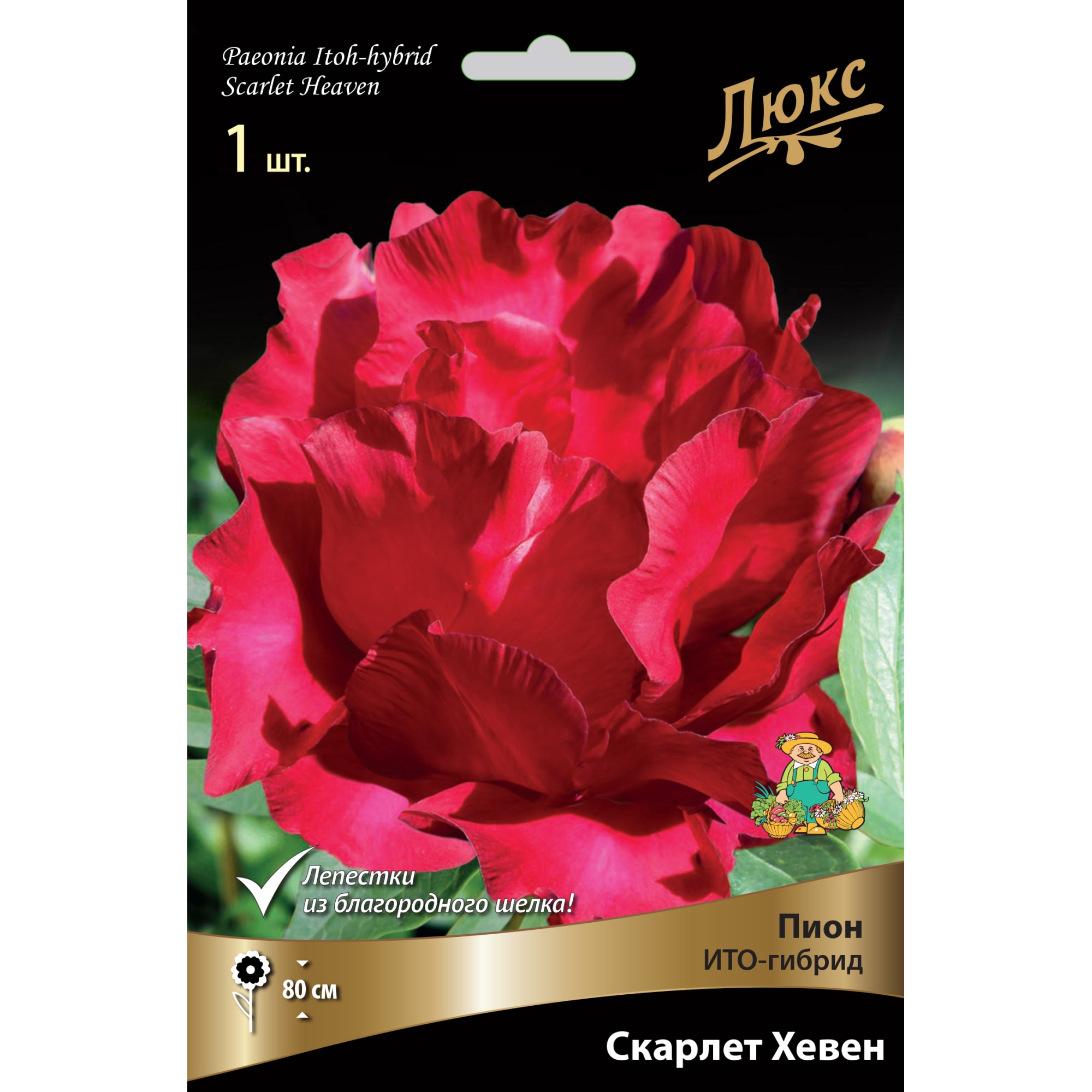 82661882 Пион ито-гибрид «Скарлет Хевен» разбор 2-3 Santreyd 