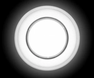 iGuzzini Встраиваемый точечный светильник из литого алюминия для подвесных потолков Easy