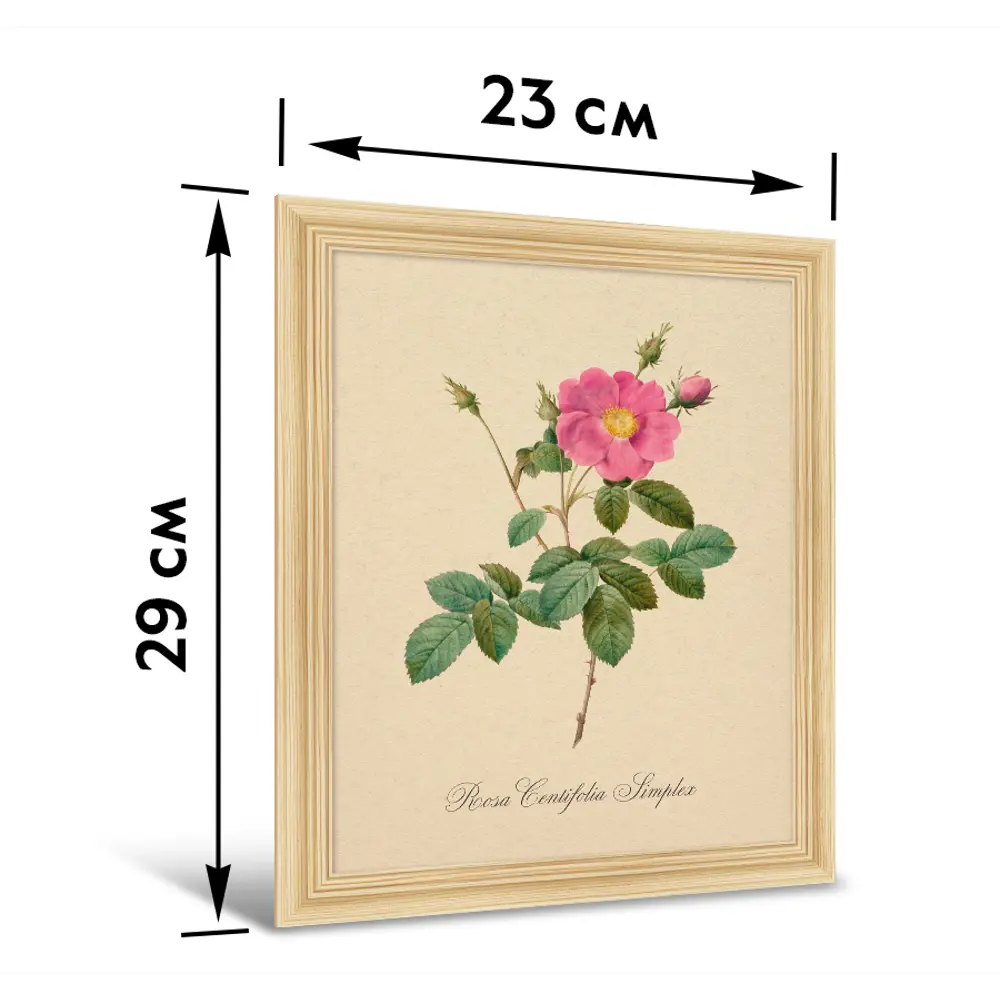 Модульная картина Розовые цветы 23x29.5 см цвет разноцветный 4 шт 85336862 STLM-2049285 Santreyd  - Вид №8
