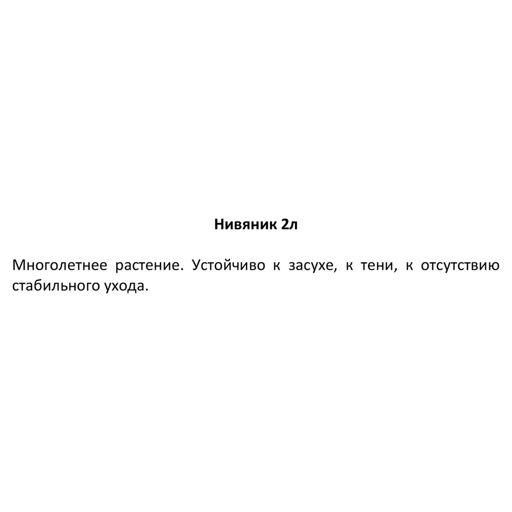 Нивяник Обыкновенный Santreyd - многолетняя декоративная ромашка для сада 84845147 STLM-0055992 - Вид №2