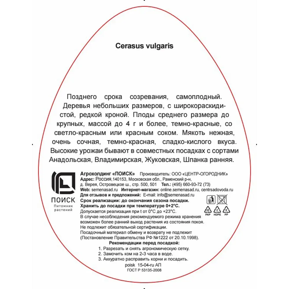 Вишня «Любская», с комом, 2-х летка 18345710 STLM-2047465 Santreyd  - Вид №2