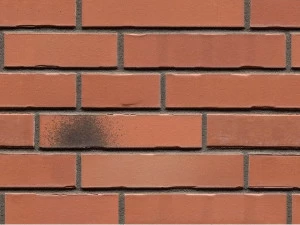 B&B Rivestimenti Naturali Кирпич глиняный для открытой кладки Futura
