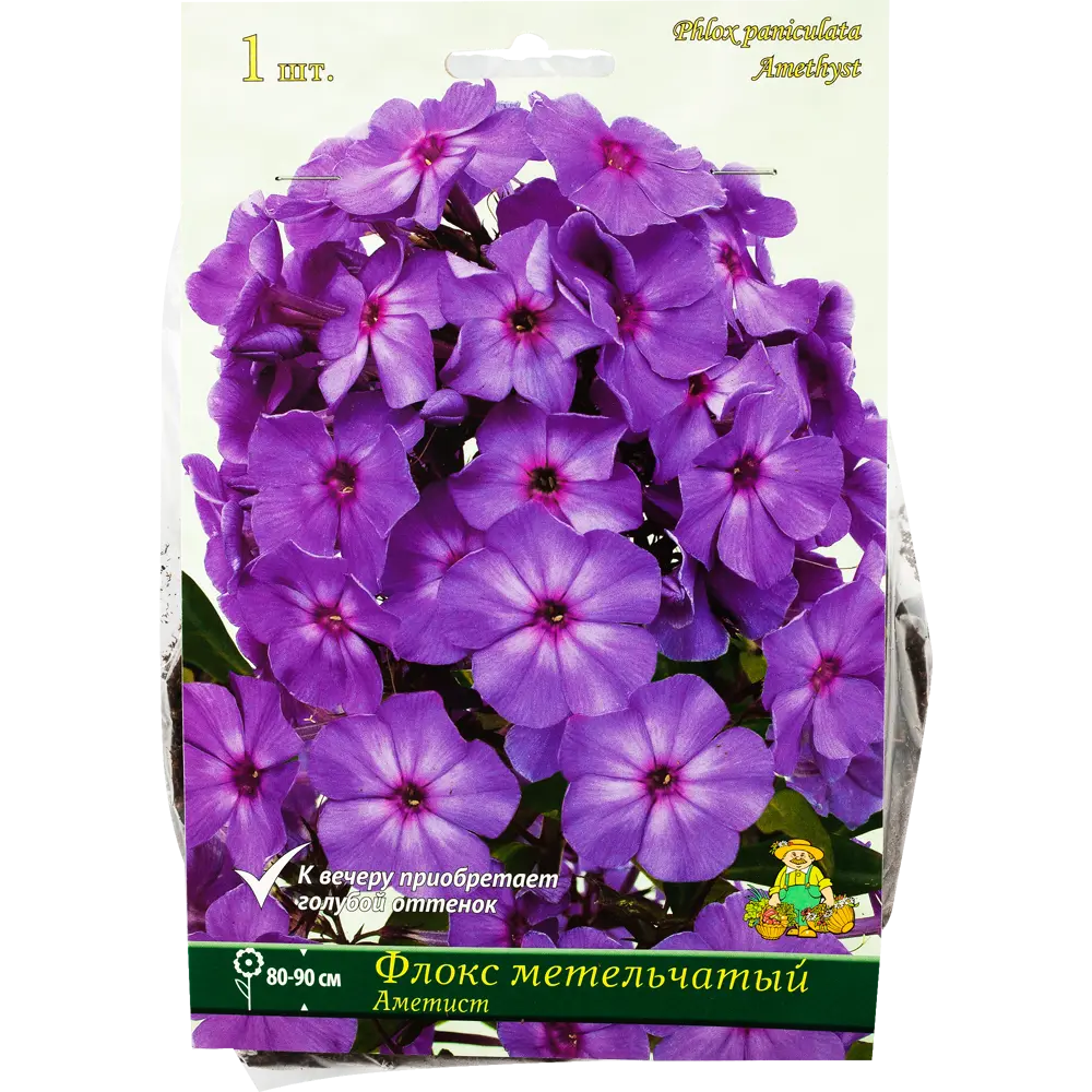Флокс метельчатый «Аметист», 1 шт. 82118748 STLM-2144332 Santreyd 