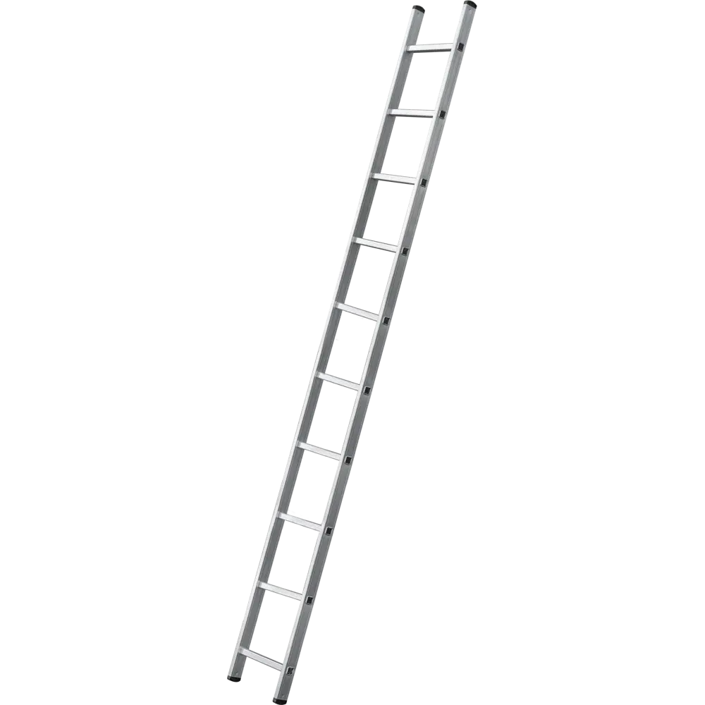 Лестница приставная 1-секционная DILWIS 10 ступеней максимальная нагрузка 150 кг STLM-2177479 - Вид №1