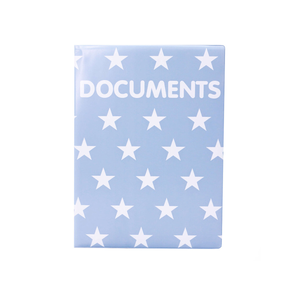 15438 Органайзер для документов индивидуальный А4 Star Santreyd 