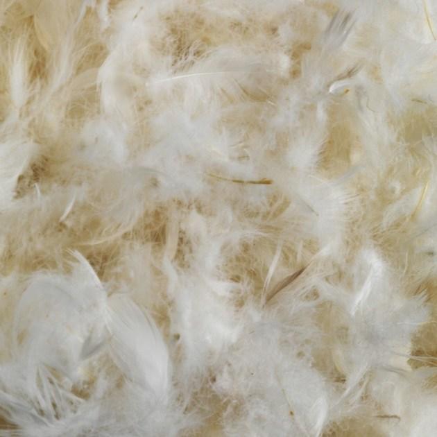 Flou Прямоугольная подушка Guanciali / piumini sun-id-1416074 - Вид №1