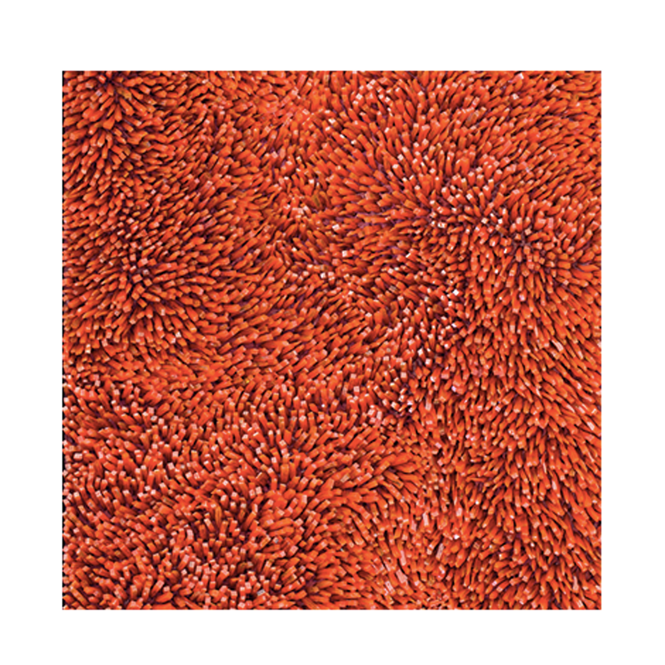 Cattedrale N.37 Произведение искусства Visionnaire  - Вид №2