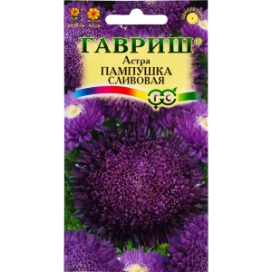 Астра «Пампушка сливовая» помпонная, 0.3 г 82097825 STLM-2083322