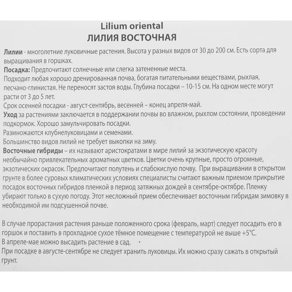 Луковицы цветов лилия восточная микс 82722475 STLM-2050426 Santreyd  - Вид №2