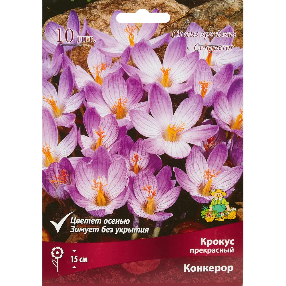 Крокус прекрасный Конкерор луковица 5/7, 10 шт. 88294630 STLM-2088343 Santreyd 