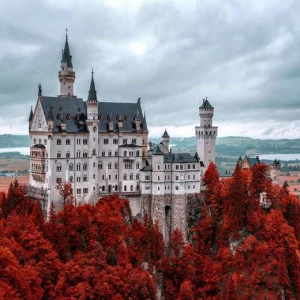 WP00348 Фотообои Verol Фотообои decoline 1х1 м