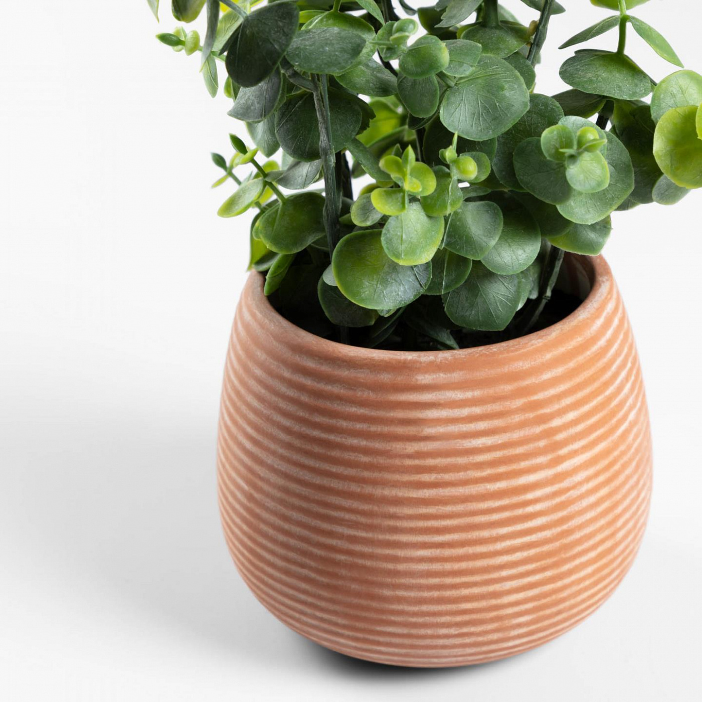 083799 Искусственное эвкалиптовое растение Flower La Forma Eucalipto - Вид №1