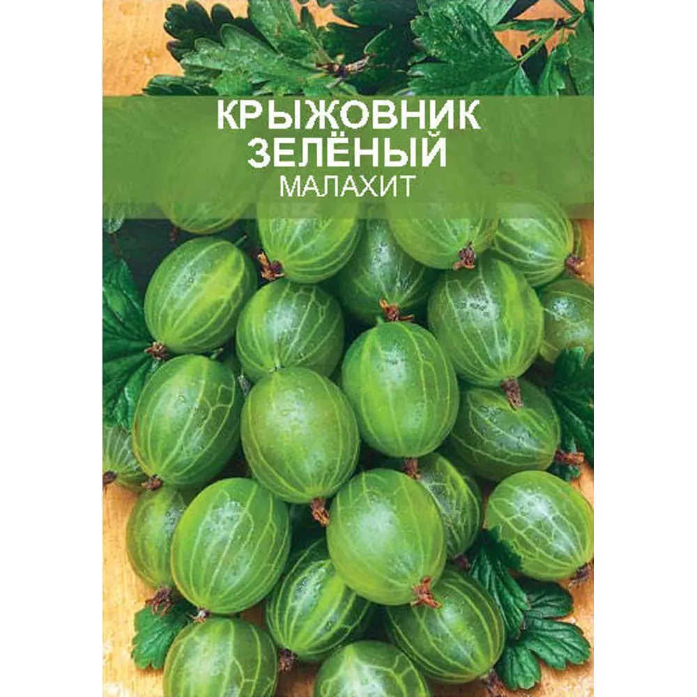 Крыжовник Малахит ø15 h50 см 85670470 STLM-2177864 Santreyd 