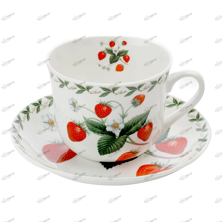 Чашка фарфоровая с блюдцем белая с красным в подарочной упаковке "Земляника" MAXWELL & WILLIAMS ФРУКТОВЫЙ САД 00-3946839 Белый;красный 