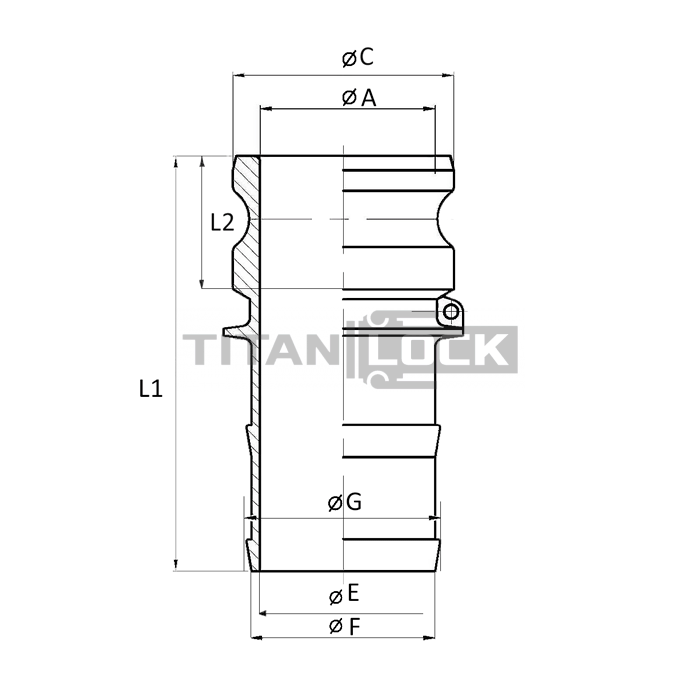 Камлок полипропиленовый тип E, ниппель с хвостовиком 1/2", TL50EPP TITAN LOCK  - Вид №1