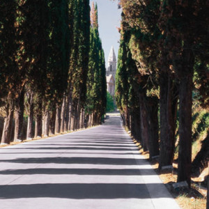 1100/CX38 Картина 1100 Adriani e Rossi