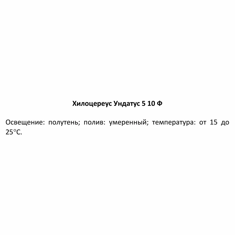Santreyd Хилоцереус Ундатус — миниатюрный кактус для интерьера 85324861 STLM-0061473 - Вид №3