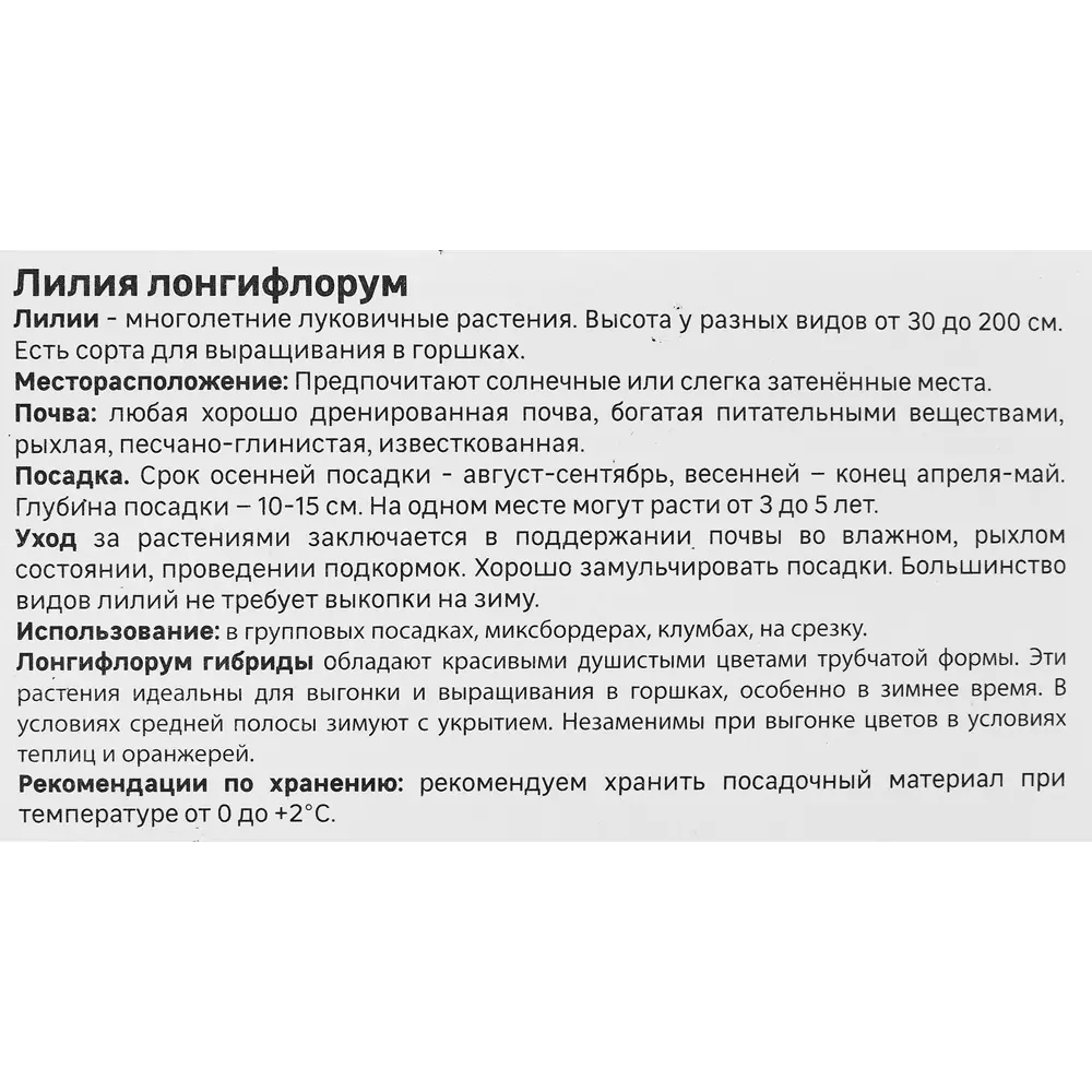 Лилия Лонгифлорум Дивайн 89349348 STLM-2028575 GEOLIA  - Вид №2