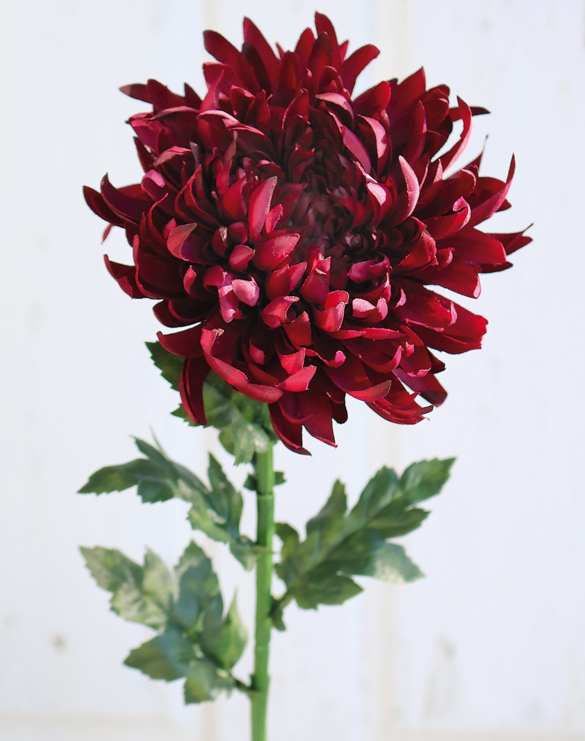 3411 499 a3 Пластиковая хризантема, 62 см, антично-темно-красный H-andreas 