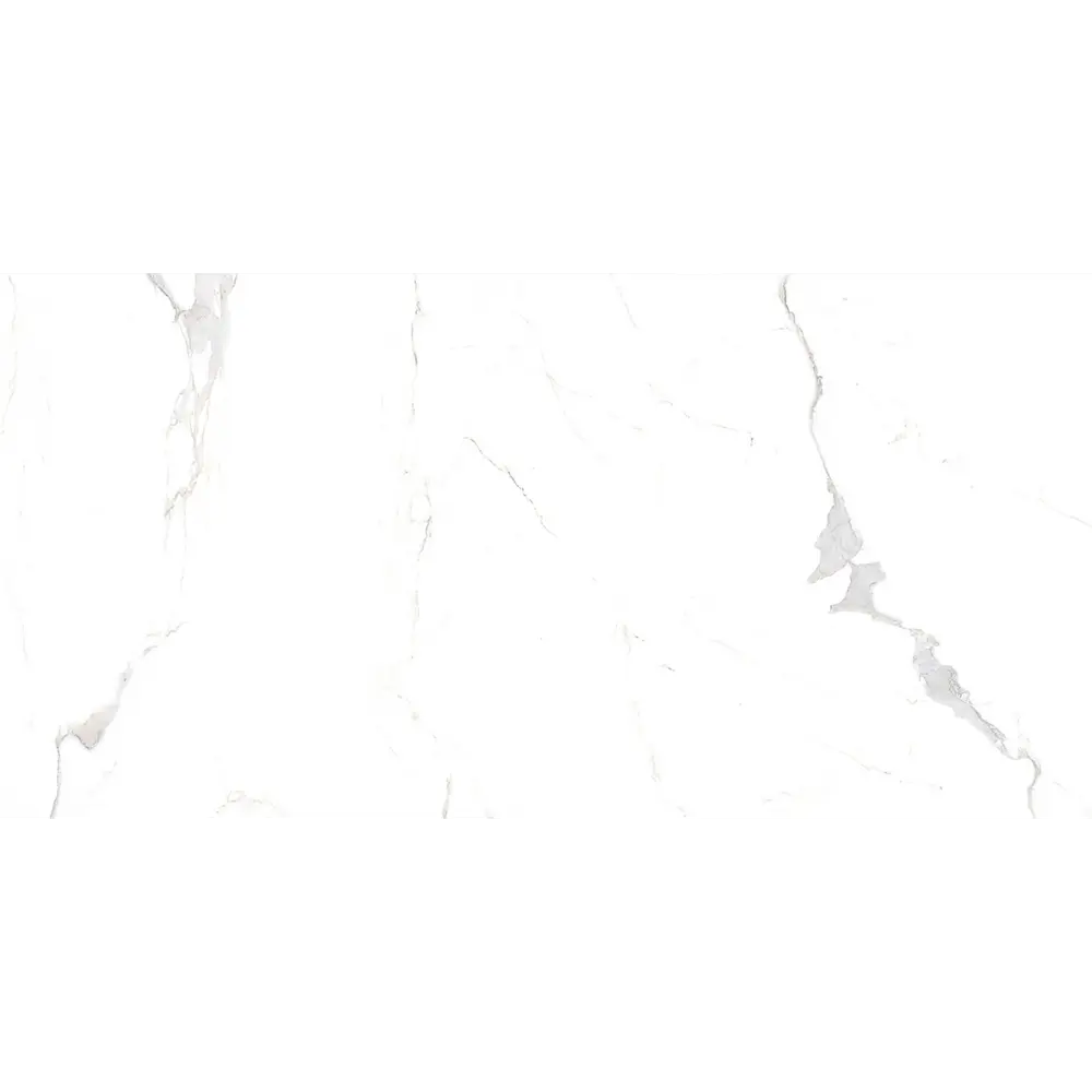 Керамогранит Statuario Classic 60x120 см 1.44 м² цвет белый Santreyd STLM-2101623