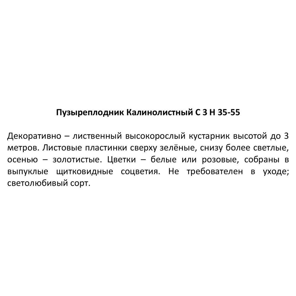 Пузыреплодник калинолистный h35-55 см 85292576 STLM-2108034 Santreyd  - Вид №2