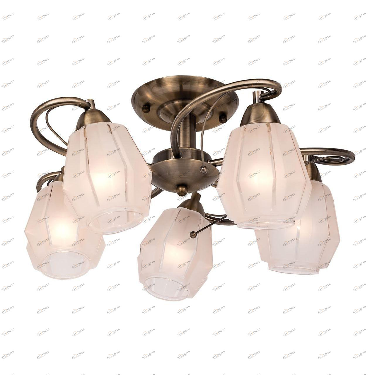 Потолочная люстра Silver Light Brazil 506.53.5 SILVER LIGHT BRAZIL 183340 Белый 