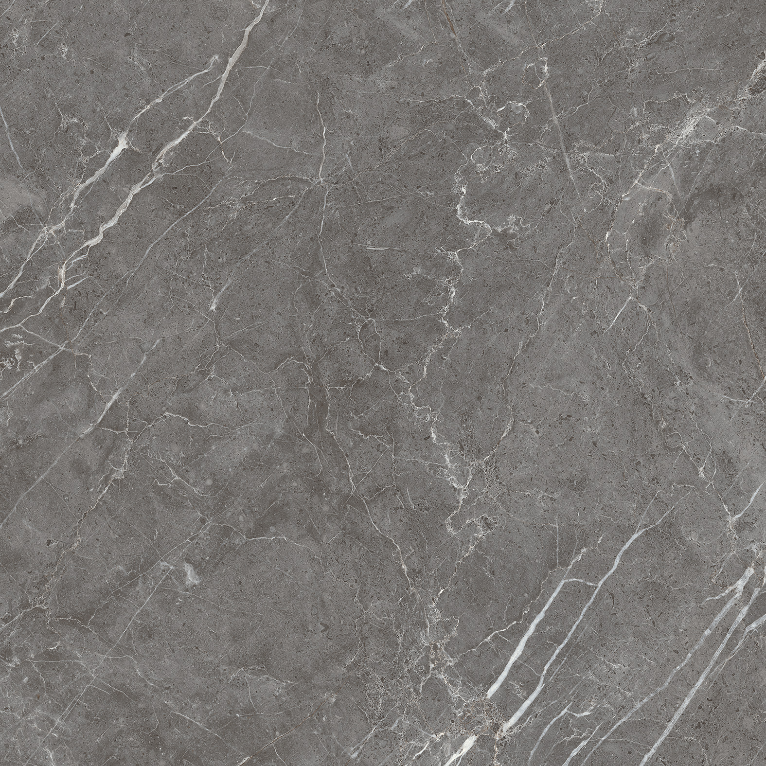 ESPERIA GRIGIO ARCADIA CERAMICA CR6001-A - Вид №3