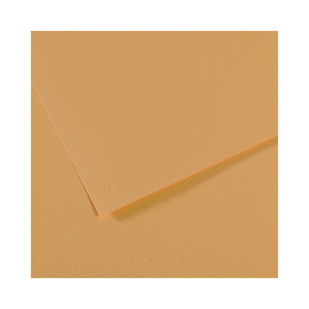 200321044 Бумага для пастели Mi-Teintes 160 г/м2 50 х 65 см лист №340 конопляный Canson 