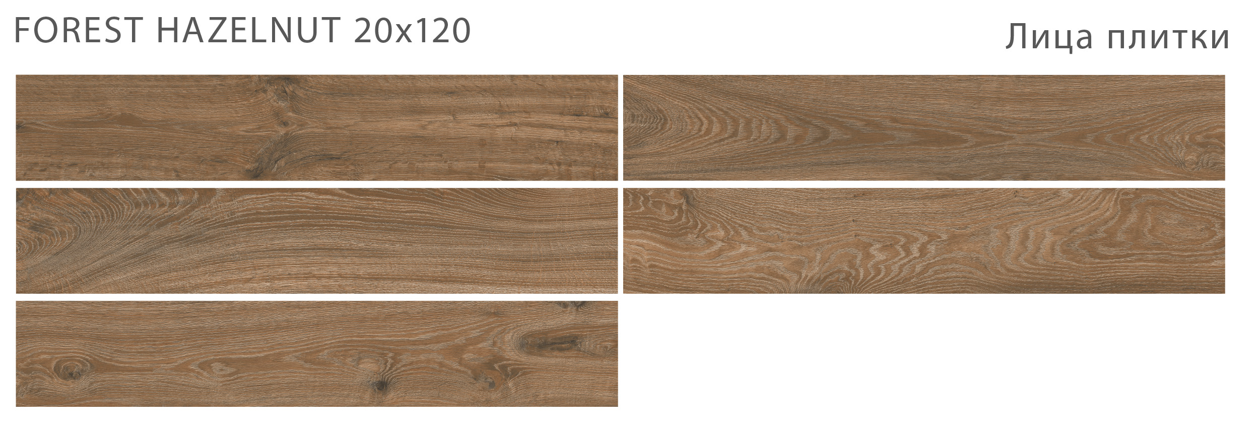 Лесное очарование: керамогранит STAROWOOD Forest STP-ST215 INCOLOR - Вид №1