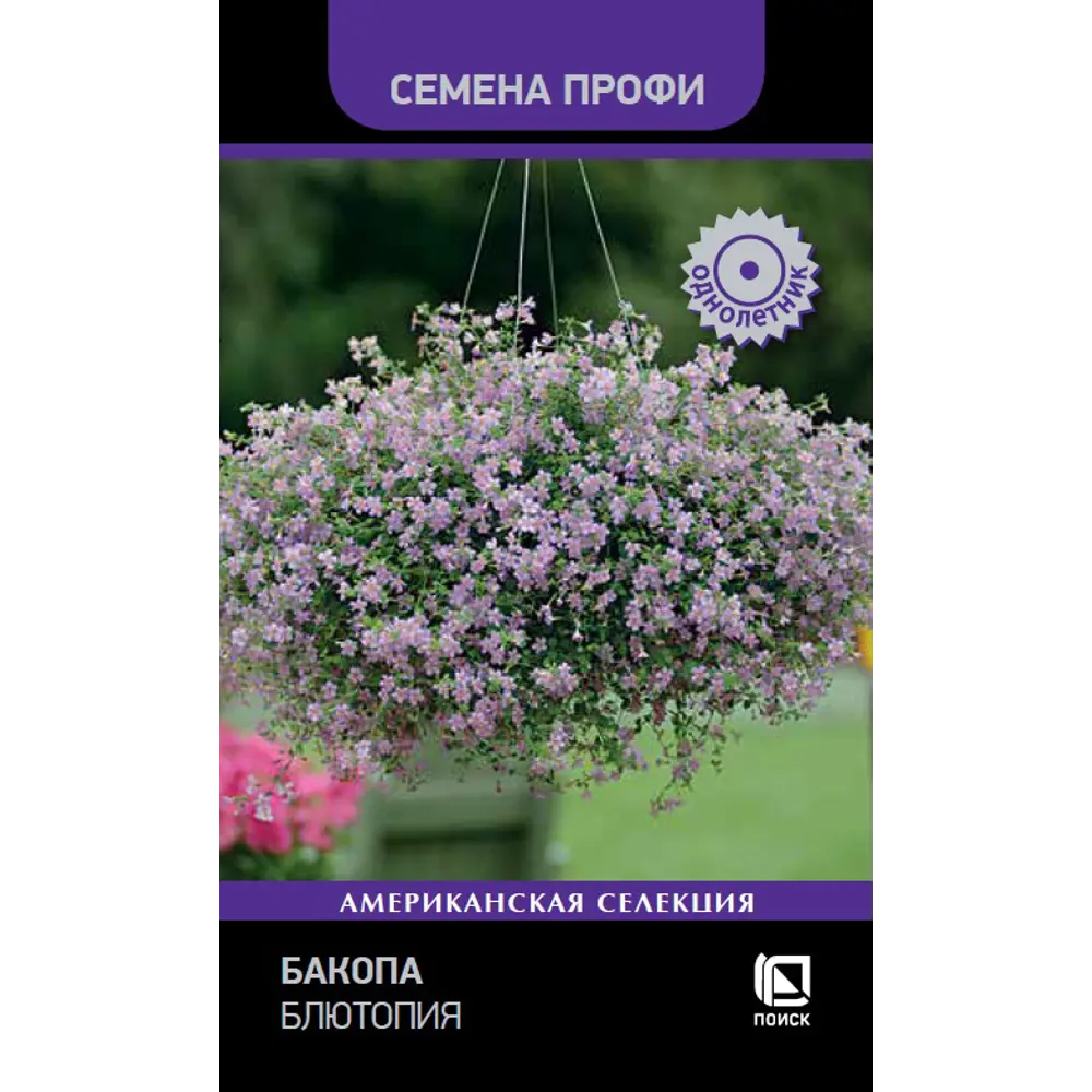 Бакопа Блютопия от ПОИСК - ампельная красота с сиренево-голубыми цветами 89402681 STLM-1566527