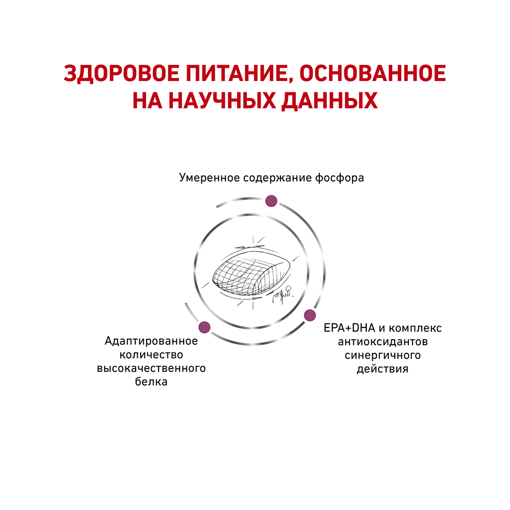 ПР0056153 Корм для собак Vet Diet Early Renal при ранней стадии почечной недостаточности сух. 7кг ROYAL CANIN  - Вид №3