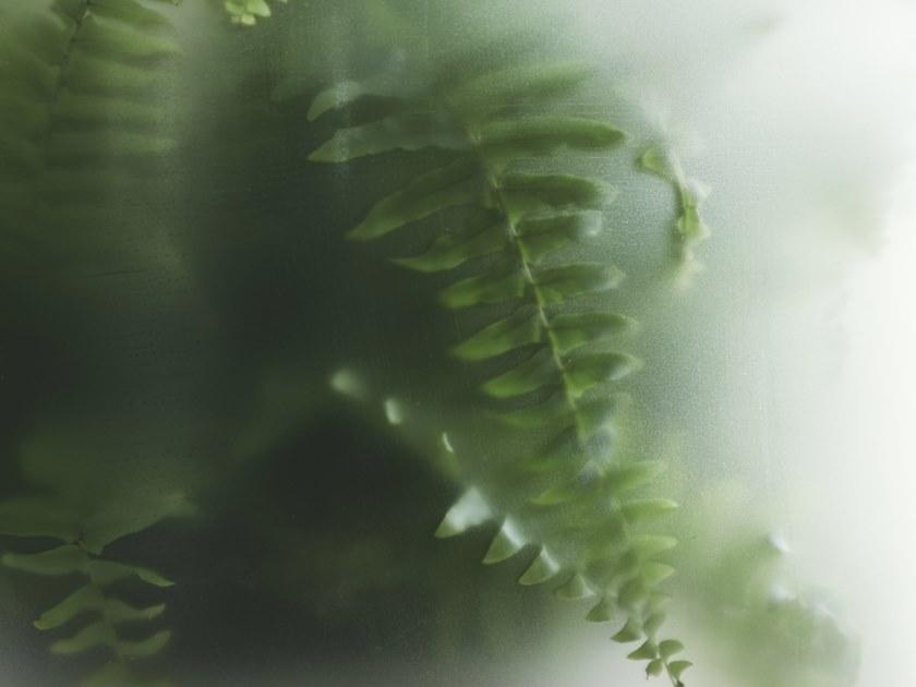 Gejst Стеклянная ваза со льдом Nebl sun-id-1443127 - Вид №9