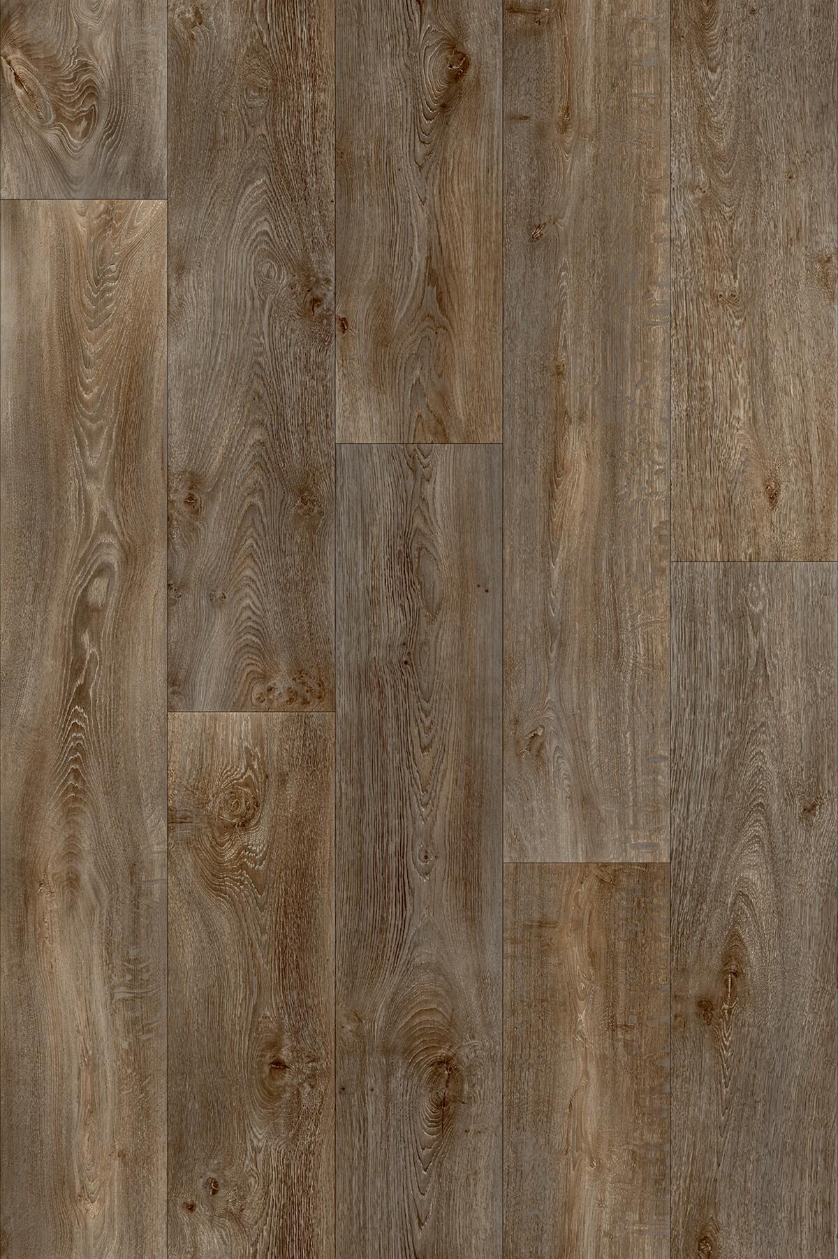 Нескользящий виниловый пол с эффектом дерева BEAUFLOR Feelings ARCH-00060623 - Вид №6