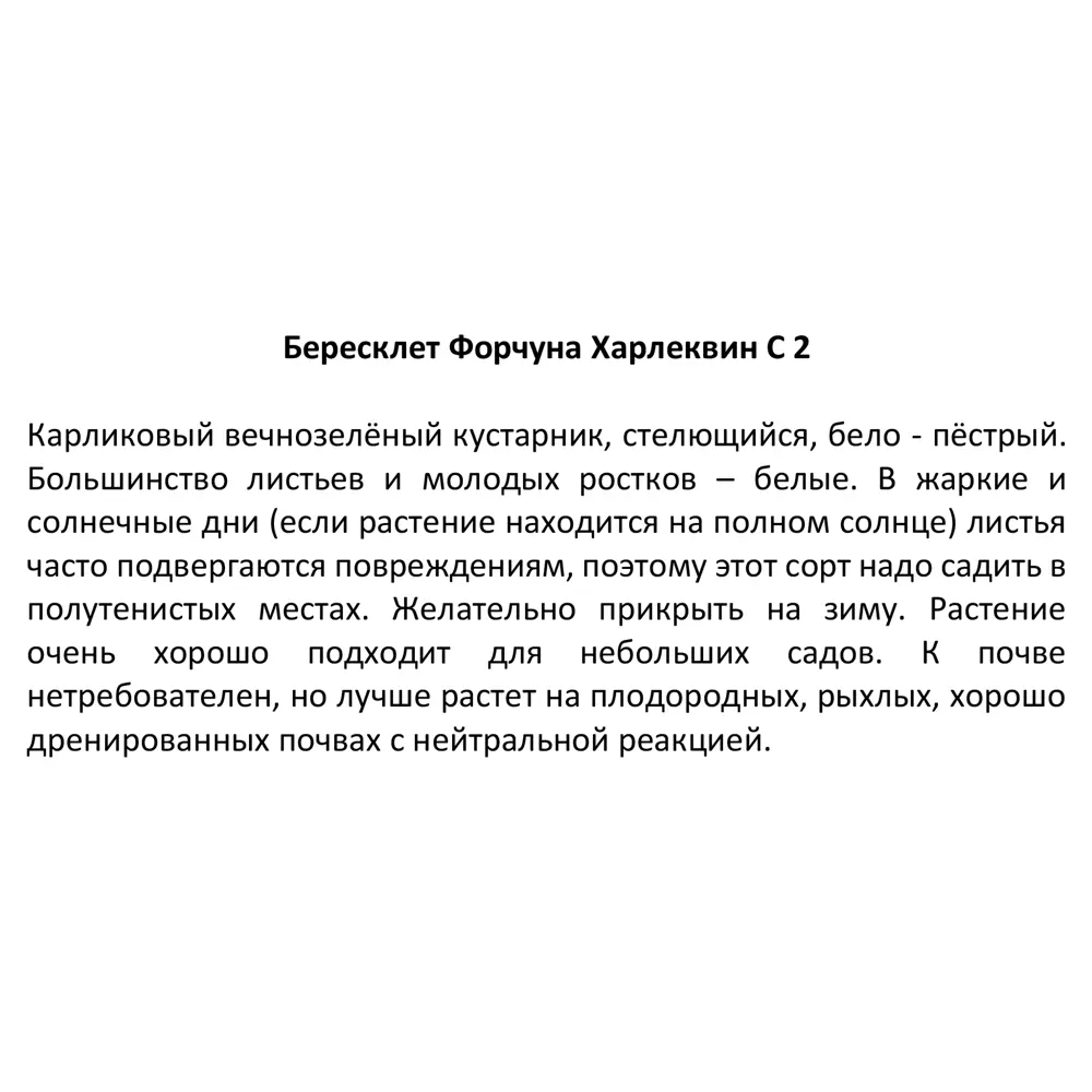 Бересклет Форчуна в сортах 15x20 см 82585362 STLM-2043274 Santreyd  - Вид №3
