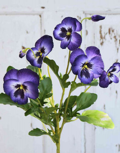 2026 222 a3 Анютины глазки шелковые, 5 цветков, 2 бутона, 40 см, темно-фиолетовый H-andreas