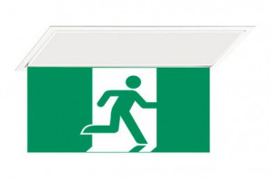 DST-238 Hydra pennant Daisalux Светильники аварийные Белый