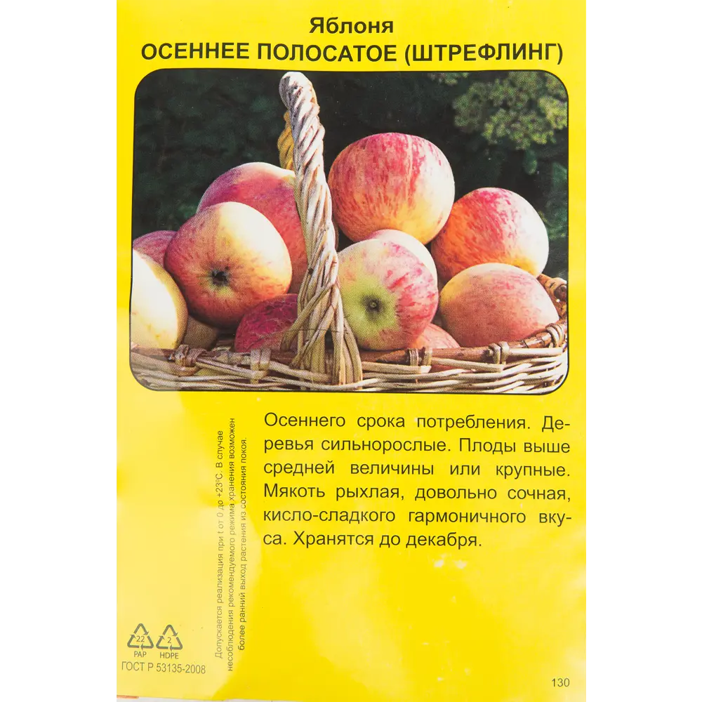 Яблоня Осеннее полосатое h90 см 83791264 STLM-2198180 Santreyd  - Вид №1