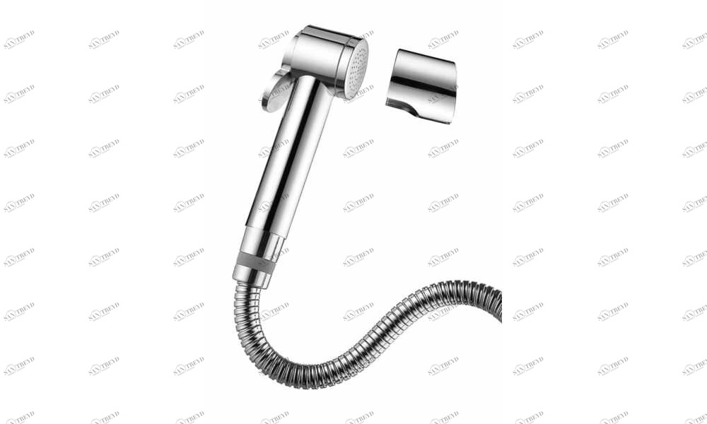 C98002 Гигиеническая лейка Paloma BOSSINI 