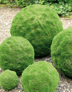 8090 883 a3 Шарик из искусственного мха, Ø 15 см, зеленый H-andreas