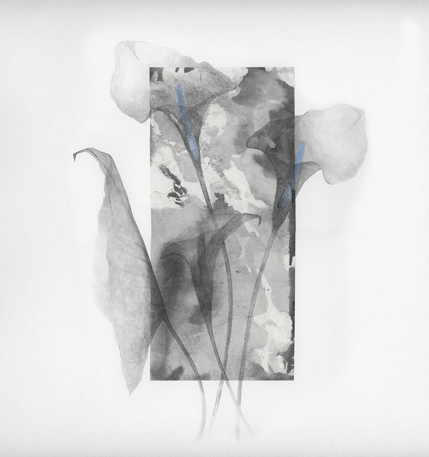 Wall&decò Водостойкие моющиеся обои с цветочными мотивами Wet system 19 sun-id-1456021 - Вид №2