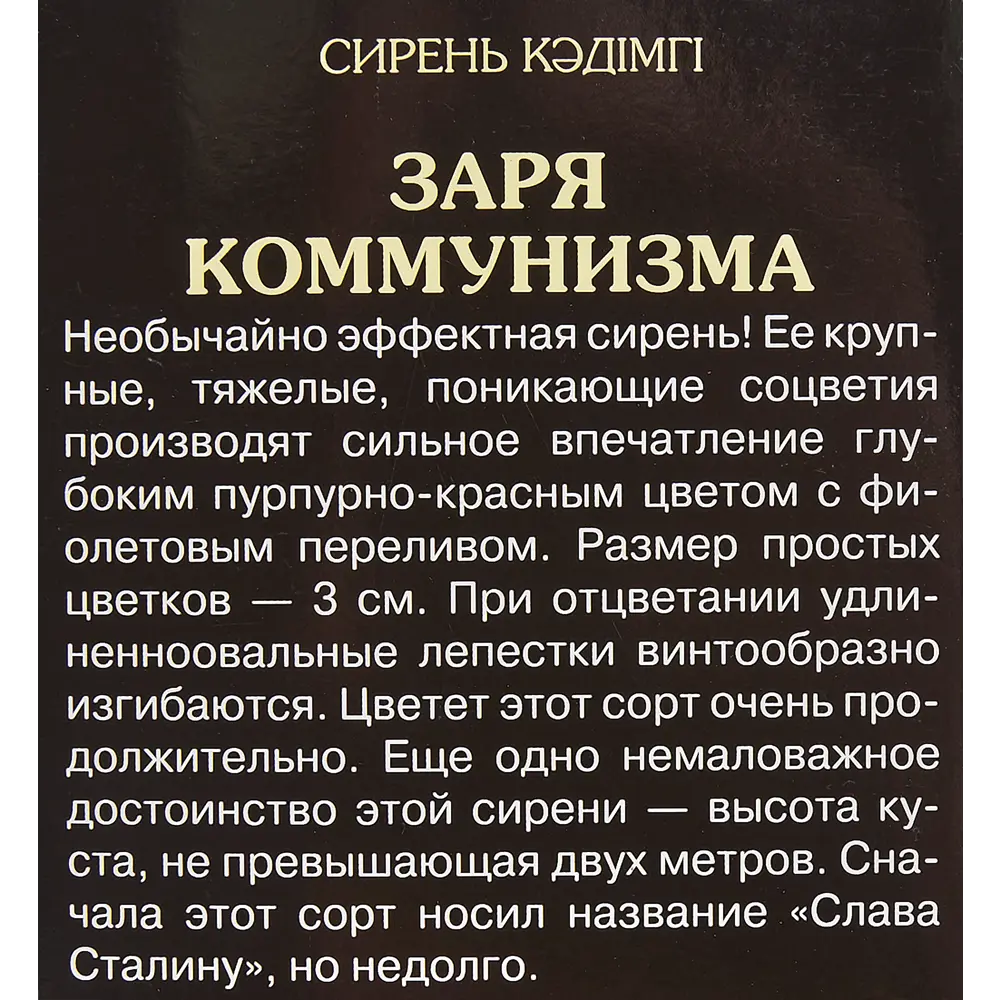 Сирень Заря Коммунизма в тубе Поиск Инвест 82150747 STLM-2061762 Santreyd  - Вид №1