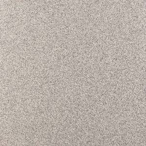 Керамогранит Standard ST 03 60x60 Неполированный