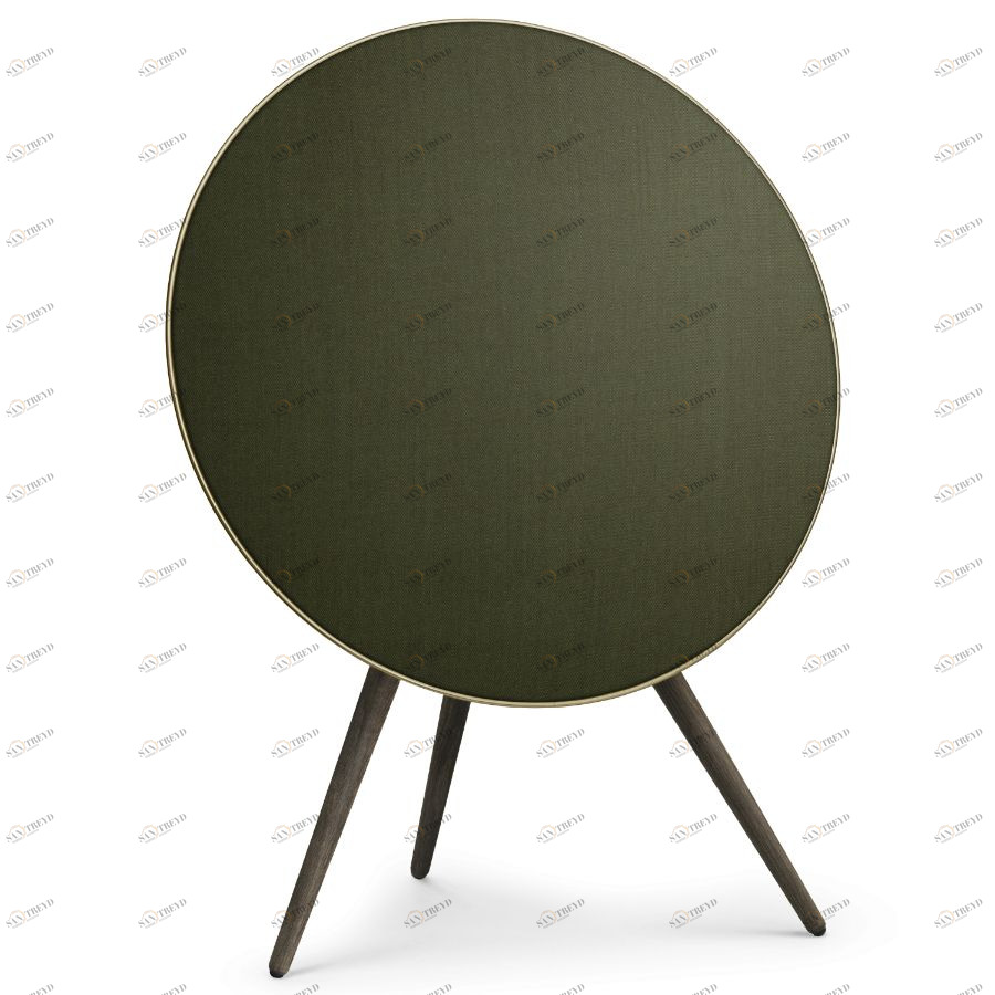 Система акустическая BeoPlay A9, зеленая Bang & Olufsen 1200328